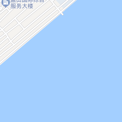 海上、陸路、航空國際貨物運輸代理業(yè)務;國內貨運代理 . - 臨港國際物流